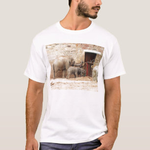 Asian elephants T-Shirt