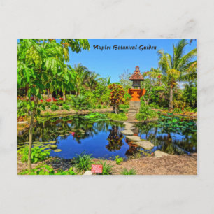 Asian Garden - Naples Botanical Garden Naples, FL Postcard