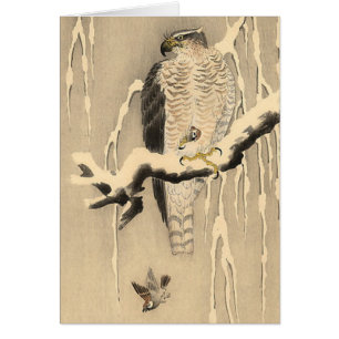 Asian Goshawk Painting