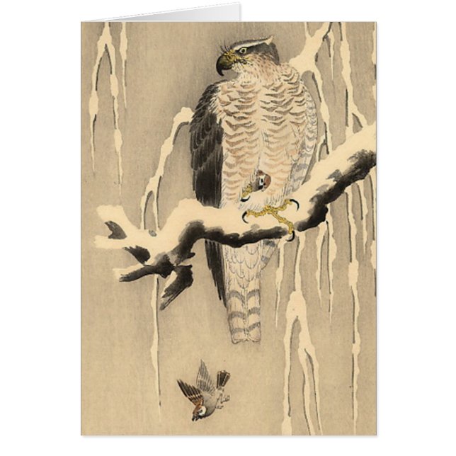 Asian Goshawk Painting (Front)