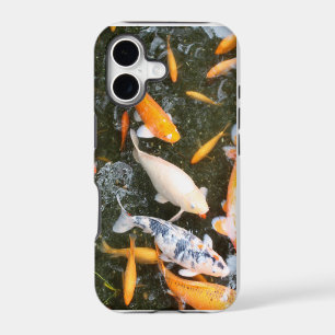 Asian Japanese Koi