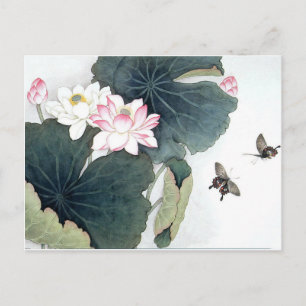 Asian Lotus Leaf Pink Flower Butterfly Art Cool Postcard