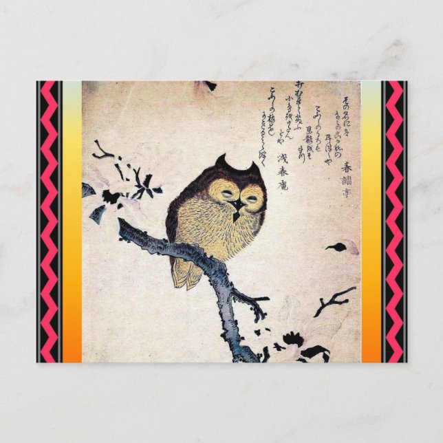 Asian Owl Postcard (Front)
