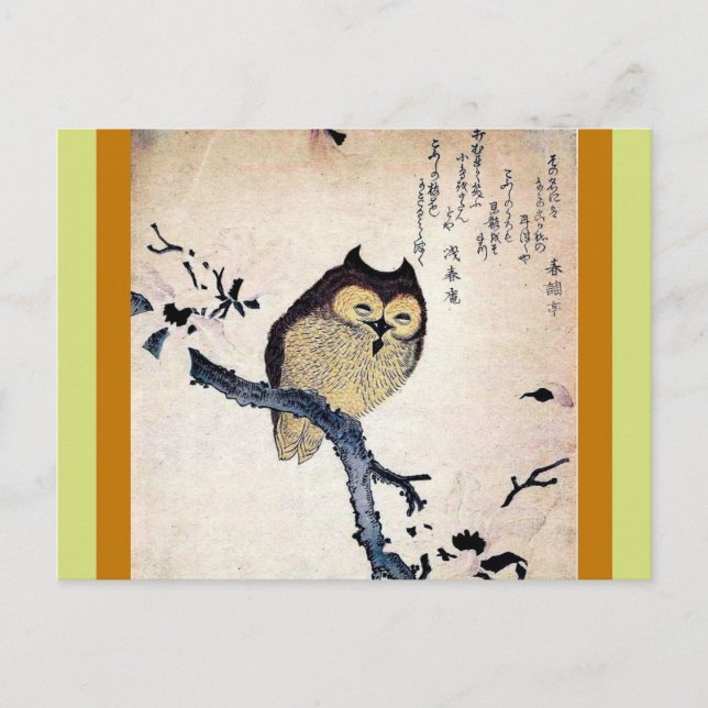 Asian Owl Postcard (Front)