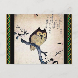 Asian Owl Postcard