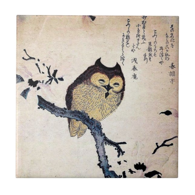 Asian Owl Tile (Front)