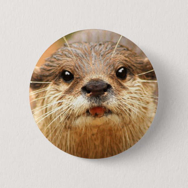 Asian Small Clawed Otter 6 Cm Round Badge (Front)