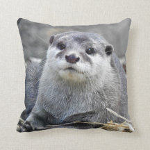 Asian Small-Clawed Otter