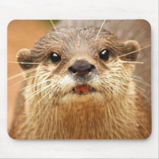 Asian Small Clawed Otter Mouse Mat