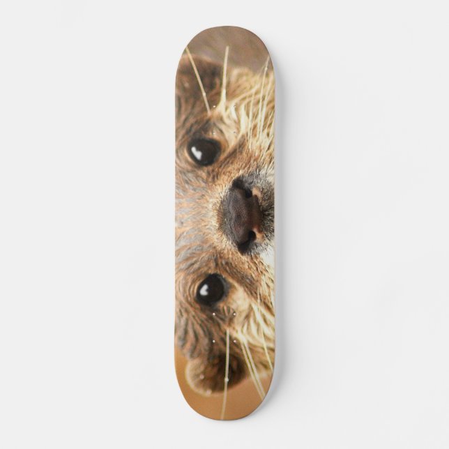 Asian Small Clawed Otter Skateboard (Front)