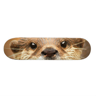 Asian Small Clawed Otter Skateboard