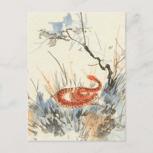 Asian Snake Vintage Postcard (Front)