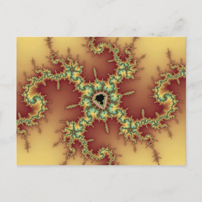 Asian Spider  - Fractal Postcard (Front)