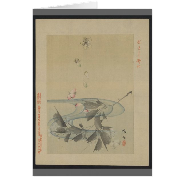 Asian Stream (Front)