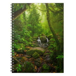 Asian tropical rainforestjungle,forest,environment notebook