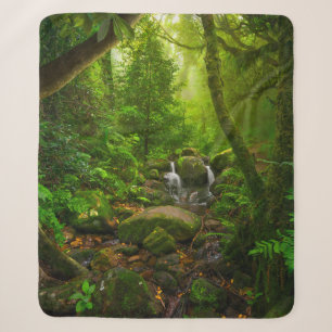 Asian tropical rainforestjungle,forest,environment sherpa blanket