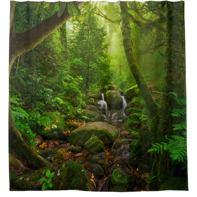 Asian tropical rainforestjungle,forest,environment shower curtain (Front)