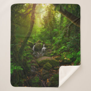 Asian tropical rainforestjungle,ground,amazon,asia sherpa blanket