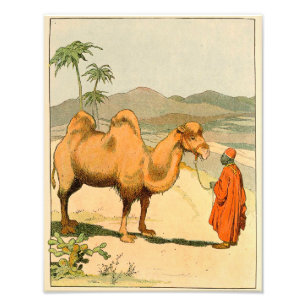 Asian Two Hump Camel Photo Print