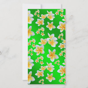 asian, yellow, white, bloom, bright, gold, floral