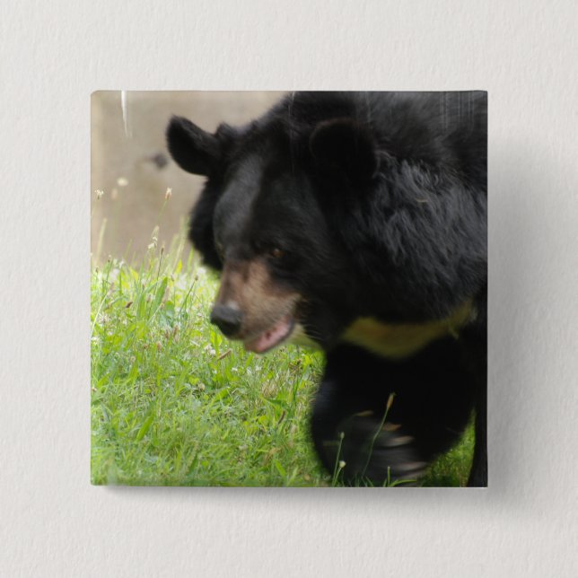 Asiatic Black Bear Pin (Front)