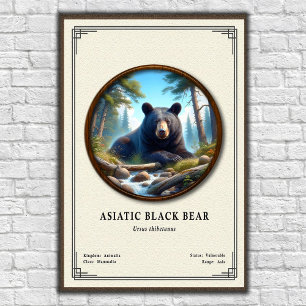 Asiatic Black Bear Zoology Series Poster