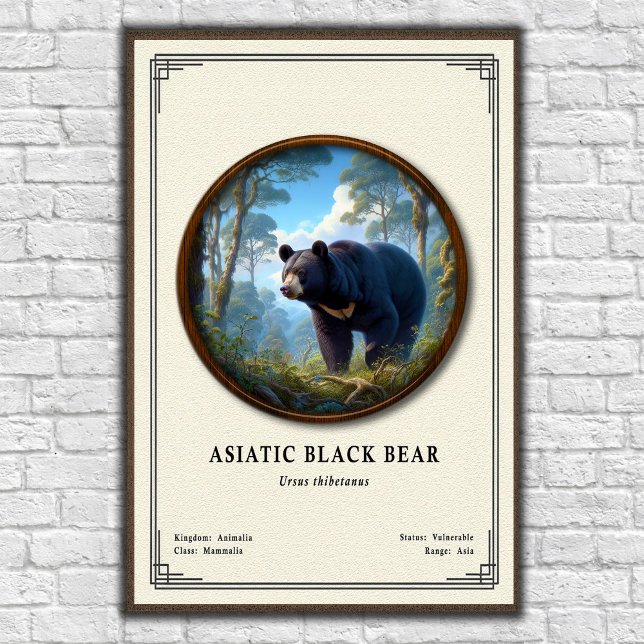 Asiatic Black Bear Zoology Series Poster (Creator Uploaded)