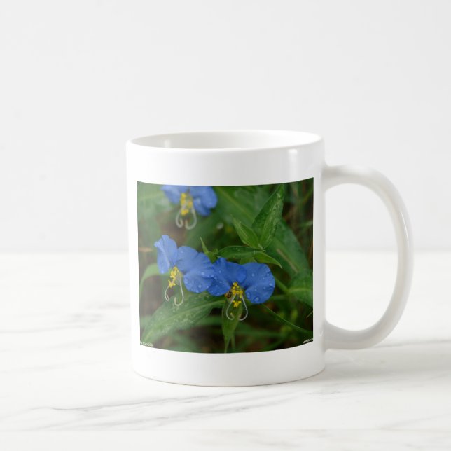 Asiatic Dayflower Blue WIldflower Apparel & Gifts Coffee Mug (Right)