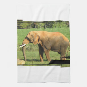 Asiatic Elephants Kitchen Towel
