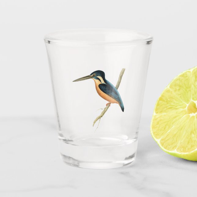 Asiatic Kingfisher Shot Glass (Front)