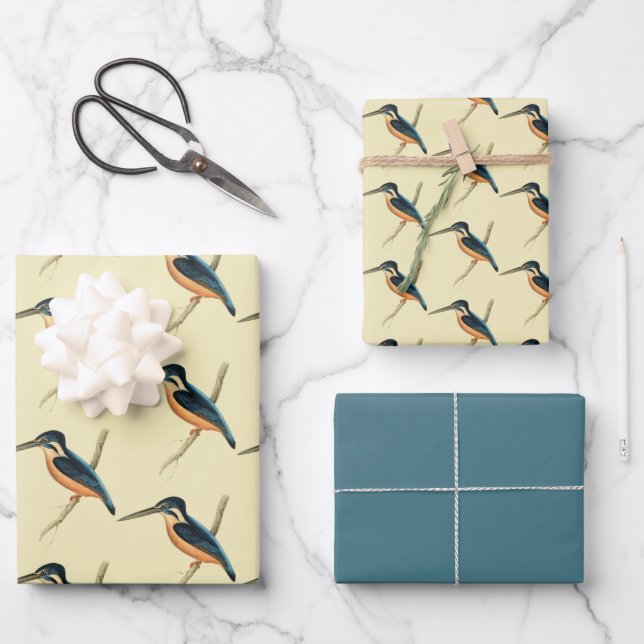Asiatic Kingfisher Wrapping Paper Sheet (Front)