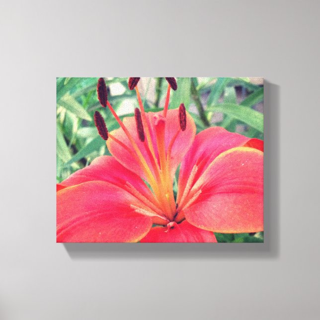 Asiatic Lily Canvas Print (Front)