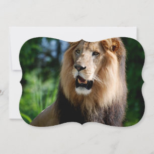 Asiatic Lion of Iran Invitation