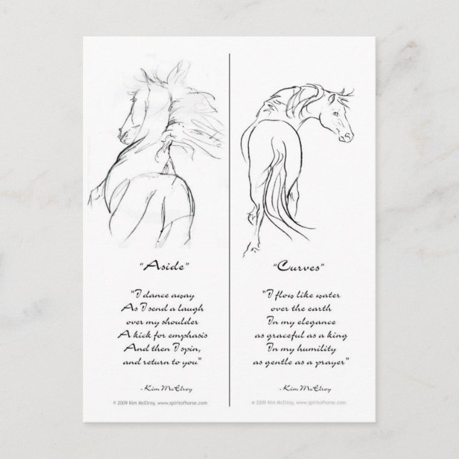 "Aside" & "Curves" Horse bookmark Postcard (Front)
