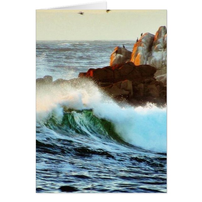 Asilomar Beaches Waves Ocean Dusk (Front)
