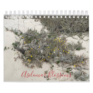 Asilomar Blossoms Calendar