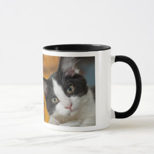 Asio and Otis Kitties Mug