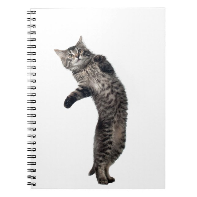 Asio Dancing Notebook (Front)