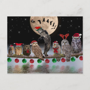 Asio dancing with Owls on Christmas Eve Holiday Postcard
