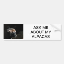 ASK ME ABOUT MY ALPACAS