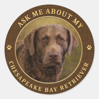 Ask Me About My Chesapeake Bay Retriever Stickers