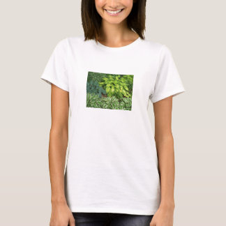 Ask Me About My Hosta Women's Tee