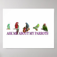 Ask Me About My Parrots