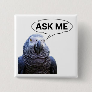 Ask Me - Grey Parrot Guide Button