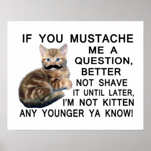 Ask The Kitten With A Mustache A Question Poster