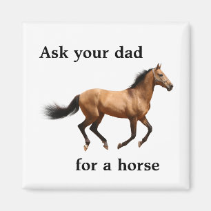 Ask your dad for a horse magnet