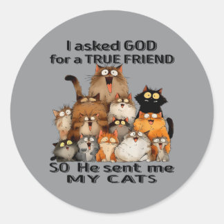 Asked God For A True Friend He Sent Cats Kitten Classic Round Sticker