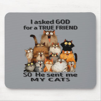 Asked God For A True Friend He Sent Cats Kitten Mouse Mat