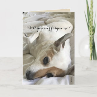 Asking For Forgiveness From A Dog-Lover Card