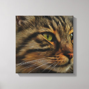 Aslan The Long Haired Tabby Cat Canvas Print